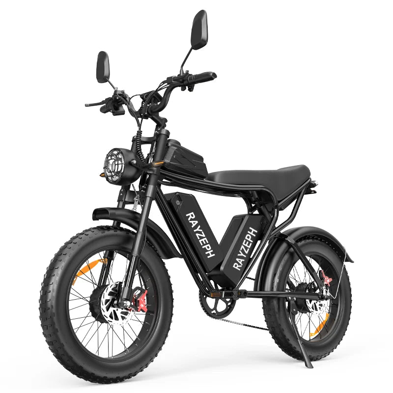 【EU Stock】RAYZEPH C20 Max Dual Motors Dual Battery Electric Bike