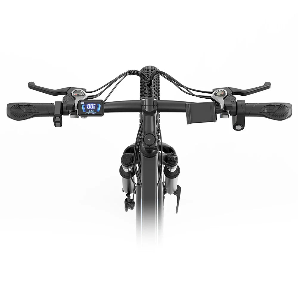 Ridstar S29Pro 1000W Motor 48V 21Ah 29'' Electric Bike