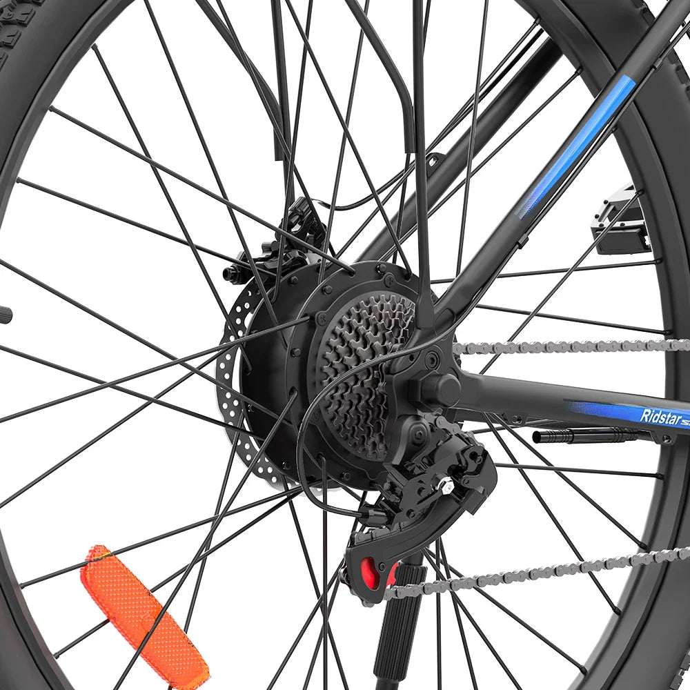 Ridstar S29Pro 1000W Motor 48V 21Ah 29'' Electric Bike