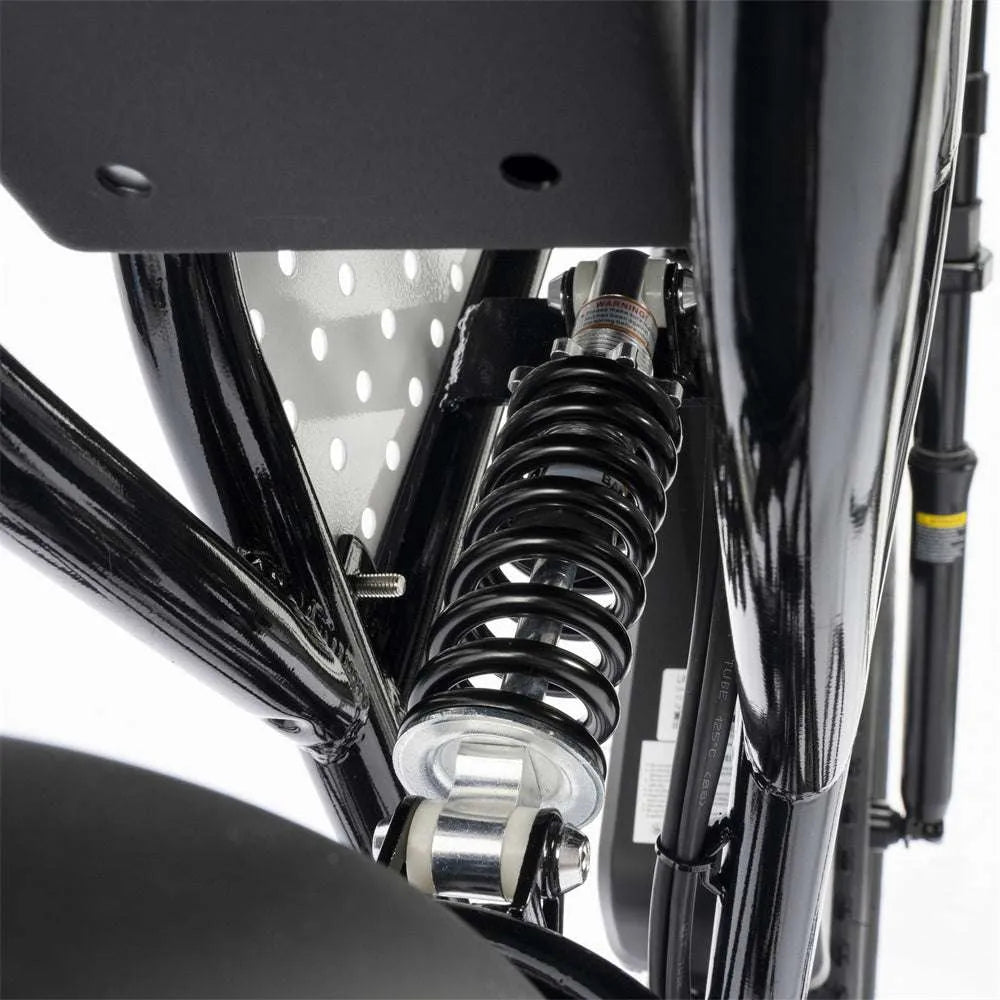 【EU&CA&UK&AU Stock】YVY C20 Lite 1000W Fat Tire Electric Bicycle