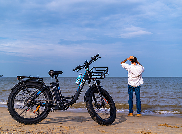 Best Electric Bicycle Buying Guide