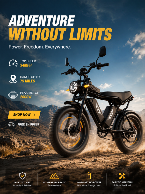 Ridstar Official Store - Shop Ridstar Electric Bikes