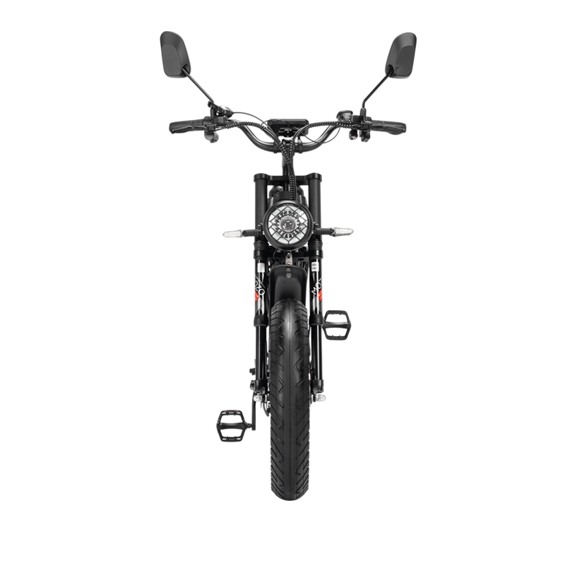 Ridstar Q20 750W Fat Tire Electric Bicycle