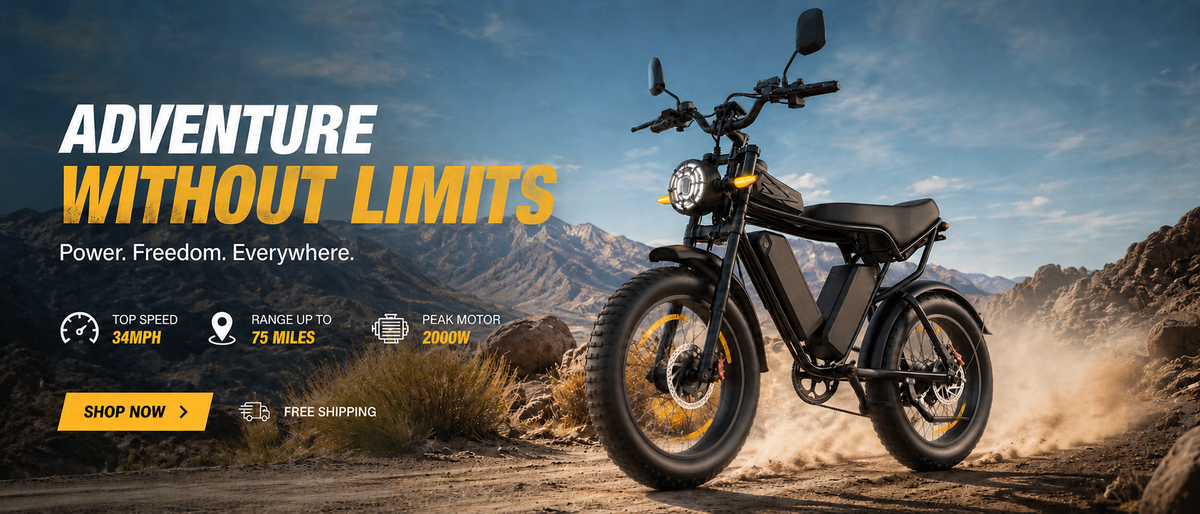 Ridstar Official Store - Shop Ridstar Electric Bikes
