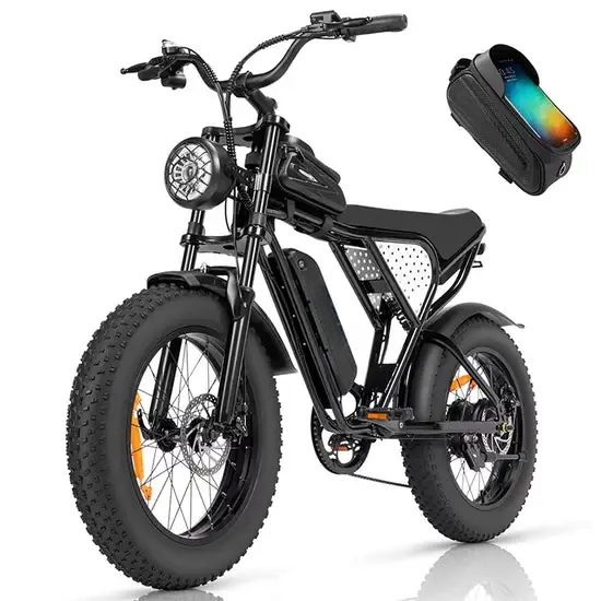 【EU&CA&UK&AU Stock】C20 Lite 1000W Fat Tire Electric Bicycle