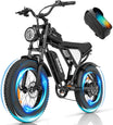 Ridstar Q20 1000W 48V 15AH Fat Tire Electric Bicycle