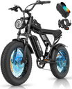Ridstar Q20 1000W 48V 15AH Fat Tire Electric Bicycle