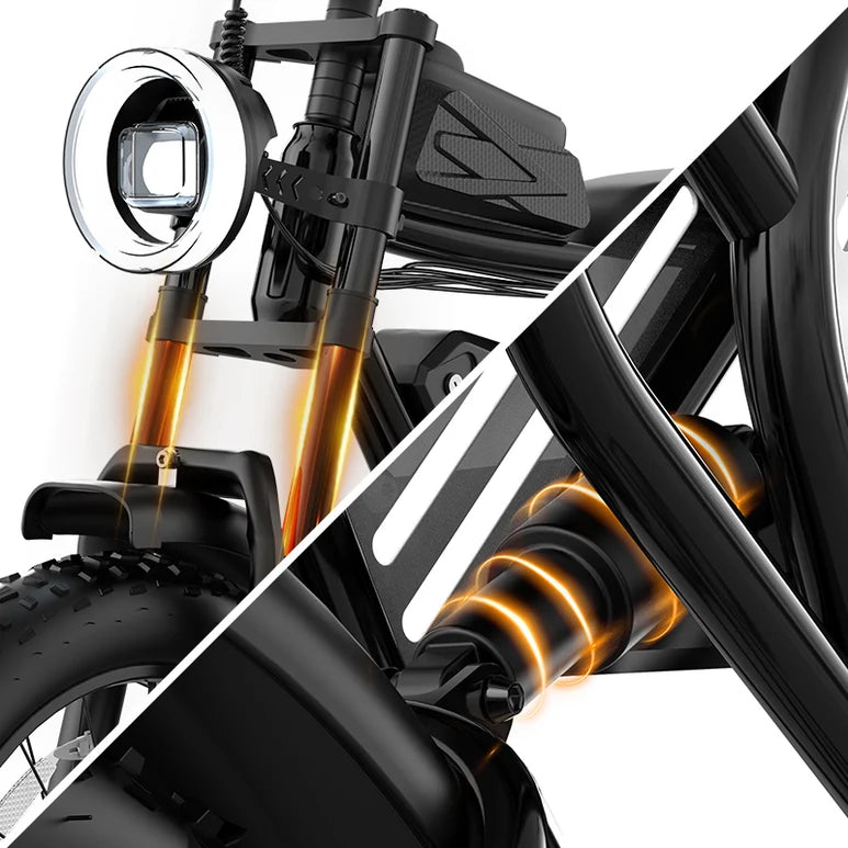 Ridstar Q50 2000W 48V 20AH Fat Tire Electric Bike