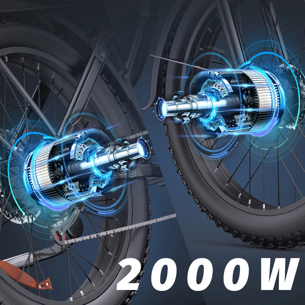Dual Brushless Motor Assembly