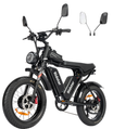 Ridstar Q20Pro 2000W Fat Tire Electric Bicycle