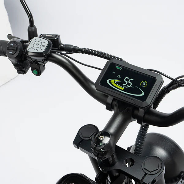 New Ridstar Q20Pro 2000W Dual Motors Fat Tire Electric Bicycle