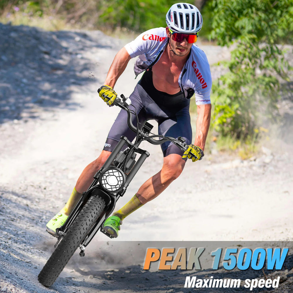 Electric Mountain Bikes - Ridstar