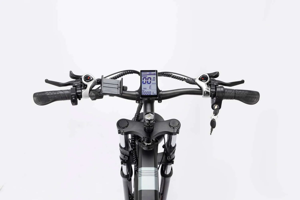 Ridstar H26 Pro Folding E-Bike 1500W Dual Motor, 48V Battery