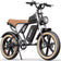 Ridstar Q20Luxe 1500W Fat Tire Electric Bike for Adults
